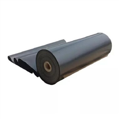 블랙 빌딩 영화